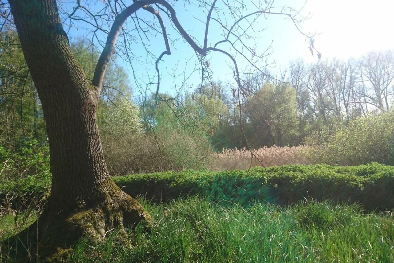 Sonniges Haeuschen Mit Garten Brunswick Exterior foto
